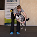 8-9 апреля состоялся семинар «Баланс и трюковая дрессировка собак»